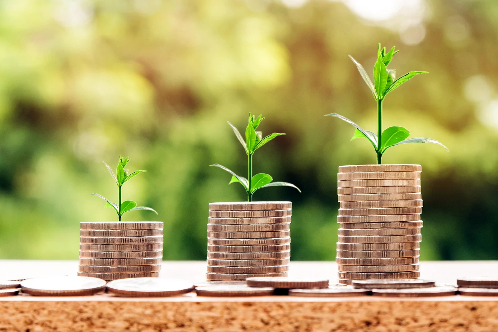 Financial Advisory & Business Consulting